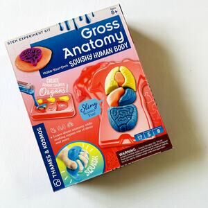 NIB STEM Experiment Kit Gross Anatomy Make-Your-Own Squishy Human Body